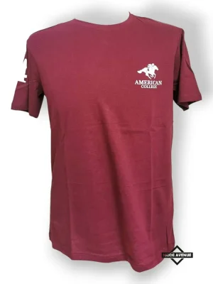 28117-America-college-t-shirt-homme.jpg